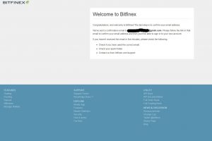 Bitfinex Welcome Screen (Image: BIUK)